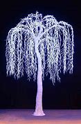 Image result for Willow Tree with Lights