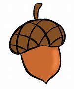 Image result for Acorn Drawing