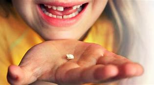 Image result for Baby Tooth Root