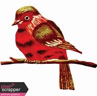 Image result for Bird On Branch Graphic