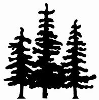 Image result for Pine Tree Silhouyette