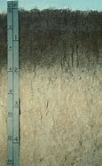 Image result for Soil