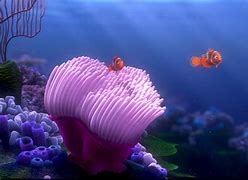 Image result for Finding Nemo Cartoon Characters