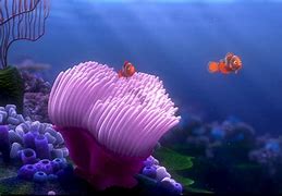 Image result for Main Characters in Finding Nemo