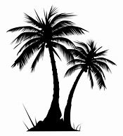 Image result for Pretty Palm Trees