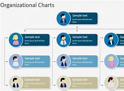 Image result for Hierarchical Chart Template