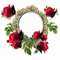 Image result for Rose Flower Border