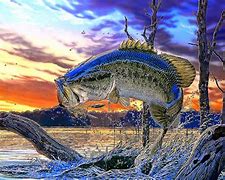 Image result for Wallpaper 3D Fishing