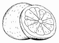 Image result for Grapefruit Coloring Page