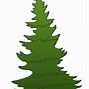 Image result for Bald Cypress Tree Clip Art