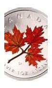 Image result for Rose Gold Canadian Maple Leaf