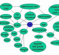 Image result for Animal Concept Map