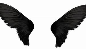 Image result for Wings Background Images for Editing