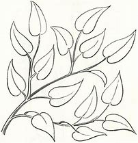 Image result for Tree Branch with Leaves Drawing