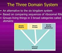 Image result for List the Three Domains