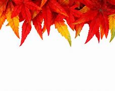 Image result for Fall Leaves Backdrop