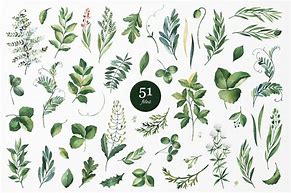 Image result for Watercolor Greenery