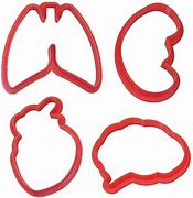 Image result for Human Body Outline Cookie Cutter