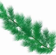 Image result for Tree Branch Overlay PNG