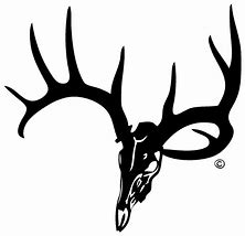 Image result for Deer Skull Side View Clip Art