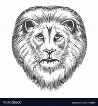 Image result for Drawn Lion Head