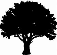 Image result for Big Tree Silhouette