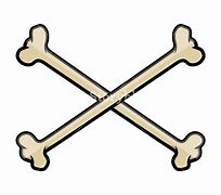 Image result for Crossed Bones