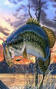 Image result for Bass Fishing iPhone Wallpaper