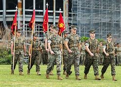 Image result for Army Guidon Rubber Tapper