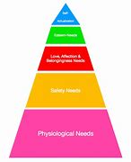 Image result for Maslow's Hierarchy of Needs Book