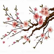 Image result for Cherry Tree Branch