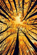 Image result for Images Showing Branches of Ai