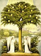 Image result for Life Tree with Hierarchy of Life