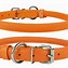 Image result for Orange Dog Clip Art