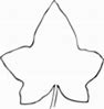 Image result for Beech Leaf Clip Art