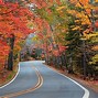 Image result for Michigan Nice Trees