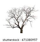 Image result for Dead Tree Branch Texture