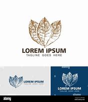 Image result for Tobacco Leaf for Logo