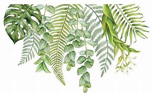 Image result for Desktop Backgrounds Watercolor Leaves