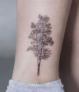 Image result for birch tree tattoo meaning