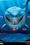 Image result for Nemo Marlin with Dory Bruce