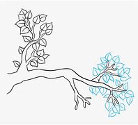 Image result for Tree Branch Line Art