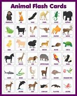 Image result for Animal 2 Legs Flash Cards