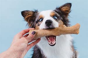 Image result for Chew Proof Dog Toys