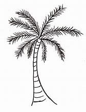 Image result for Palm Tree Single Line Drawing