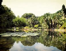 Image result for Montreal Botanical Garden in November