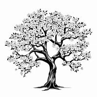 Image result for Blossom Tree Watercolour