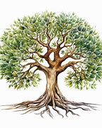 Image result for Mystical Tree of Life