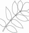 Image result for Beech Leaf Clip Art