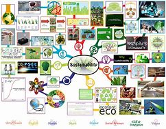 Image result for Mind Map. About Environmental Sustainability